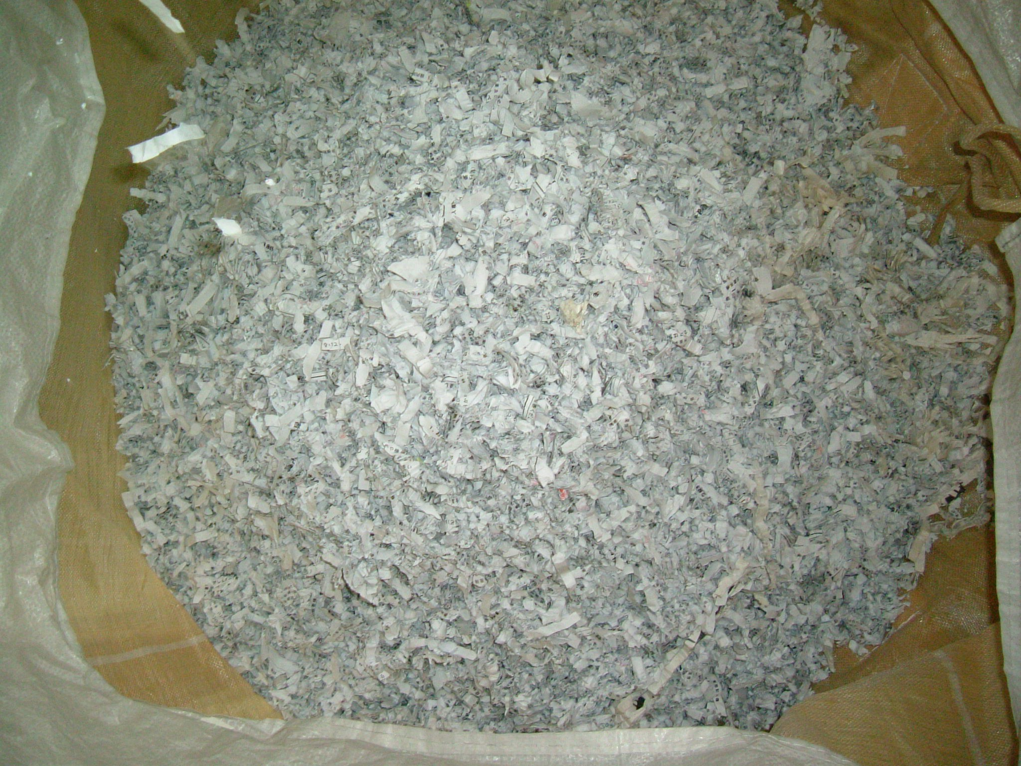 破砕処理後の紙の状態